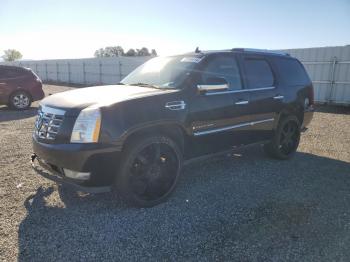  Salvage Cadillac Escalade