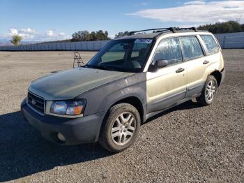  Salvage Subaru Forester