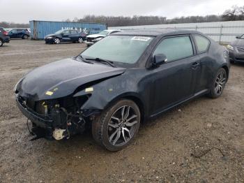  Salvage Toyota Scion