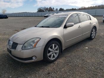  Salvage Nissan Maxima