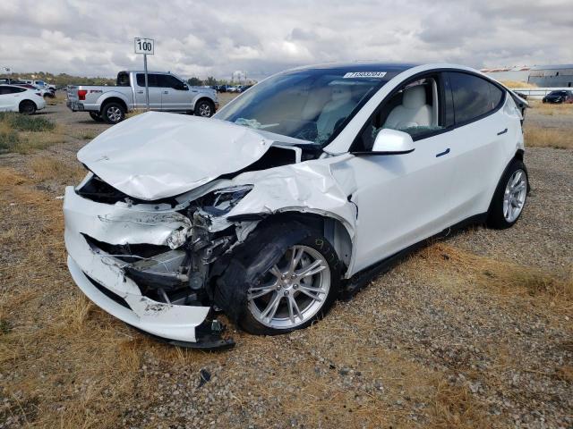  Salvage Tesla Model Y