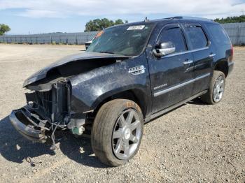  Salvage Cadillac Escalade