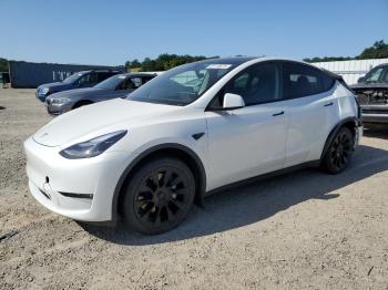  Salvage Tesla Model Y