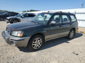  Salvage Subaru Forester