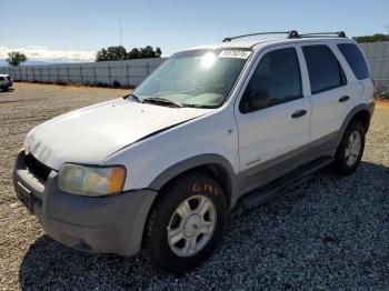  Salvage Ford Escape