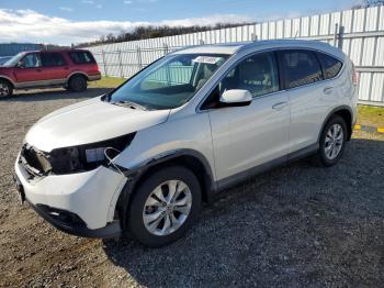 Salvage Honda Crv