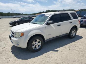  Salvage Ford Escape