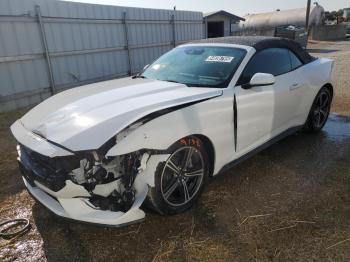  Salvage Ford Mustang