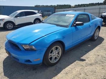  Salvage Ford Mustang