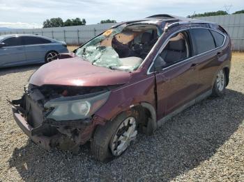  Salvage Honda Crv