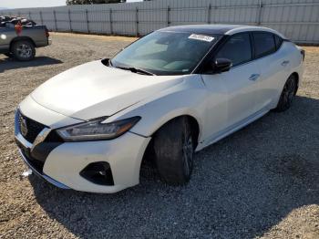  Salvage Nissan Maxima