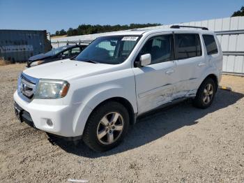  Salvage Honda Pilot