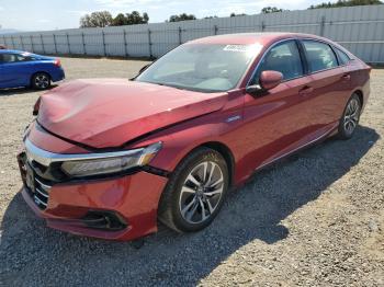  Salvage Honda Accord