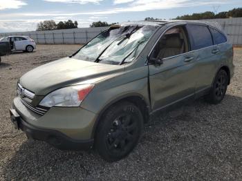  Salvage Honda Crv