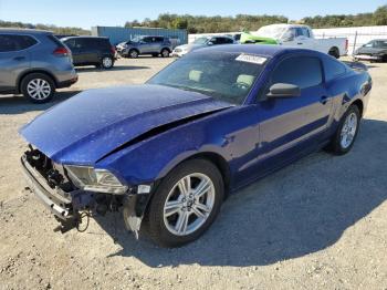  Salvage Ford Mustang