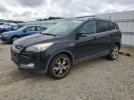 Ford Escape Titanium Image 1
