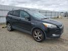 Ford Escape Titanium Image 7