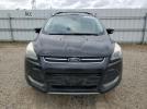 Ford Escape Titanium Image 6