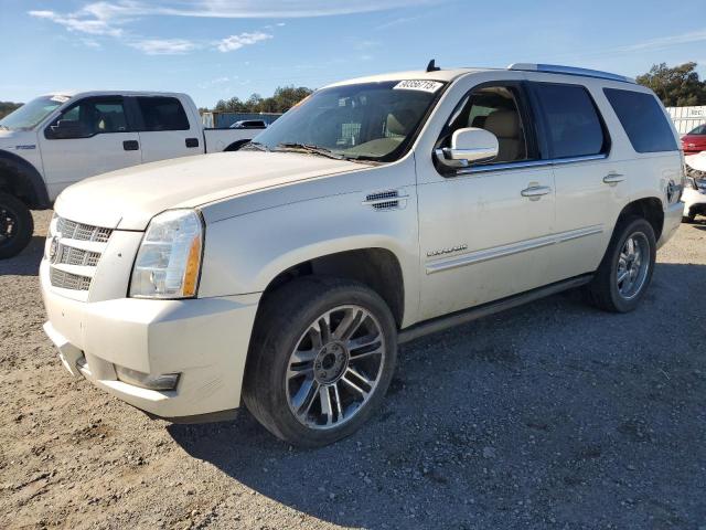  Salvage Cadillac Escalade