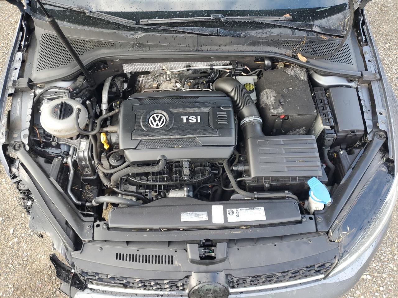 Volkswagen Golf S Image 7