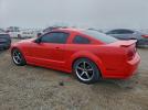 Ford Mustang Gt Image 6