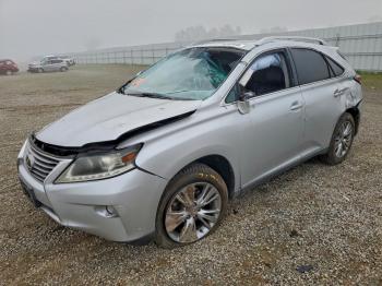  Salvage Lexus RX