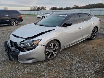  Salvage Nissan Maxima