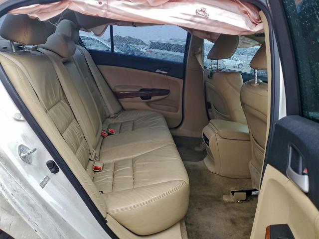 Honda Accord Exl Image 8